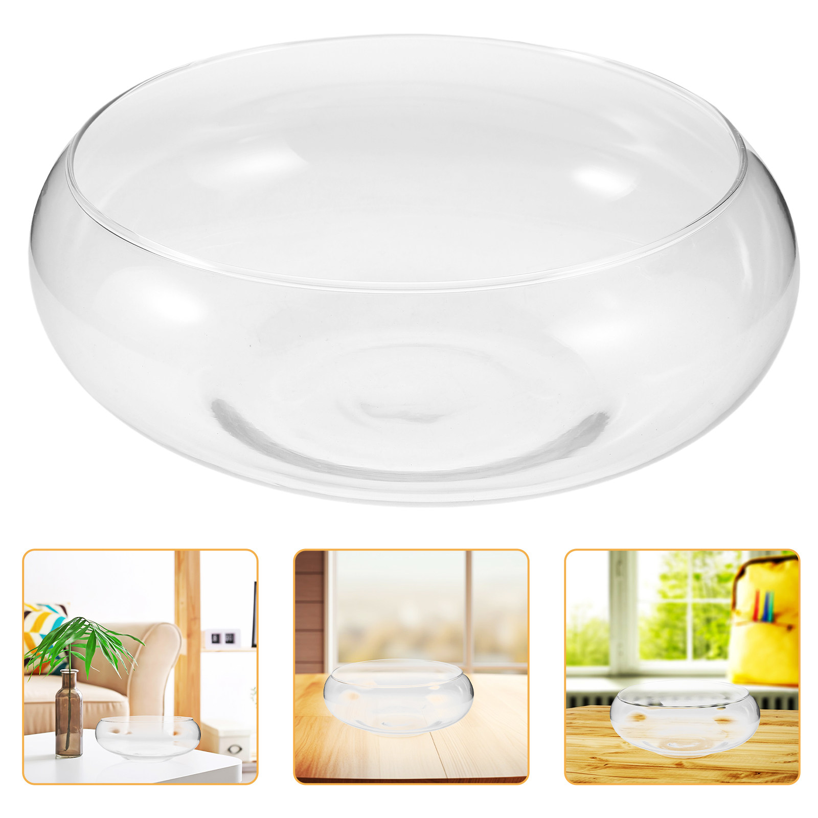 Aquarium Plants - Glass Hydroponic Planter Bowl for Succulents