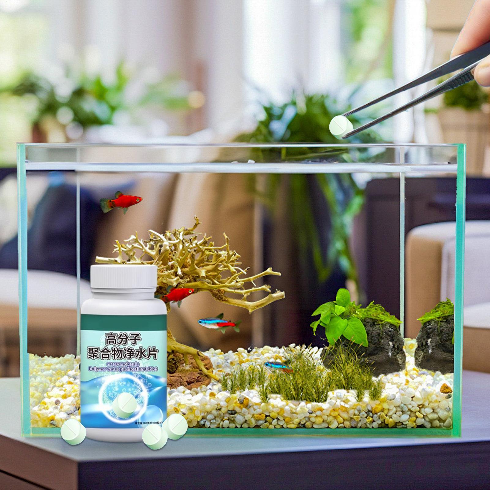 Fish Can Algae Remover Aquariu - огляд і ціна Betta Fish Tank