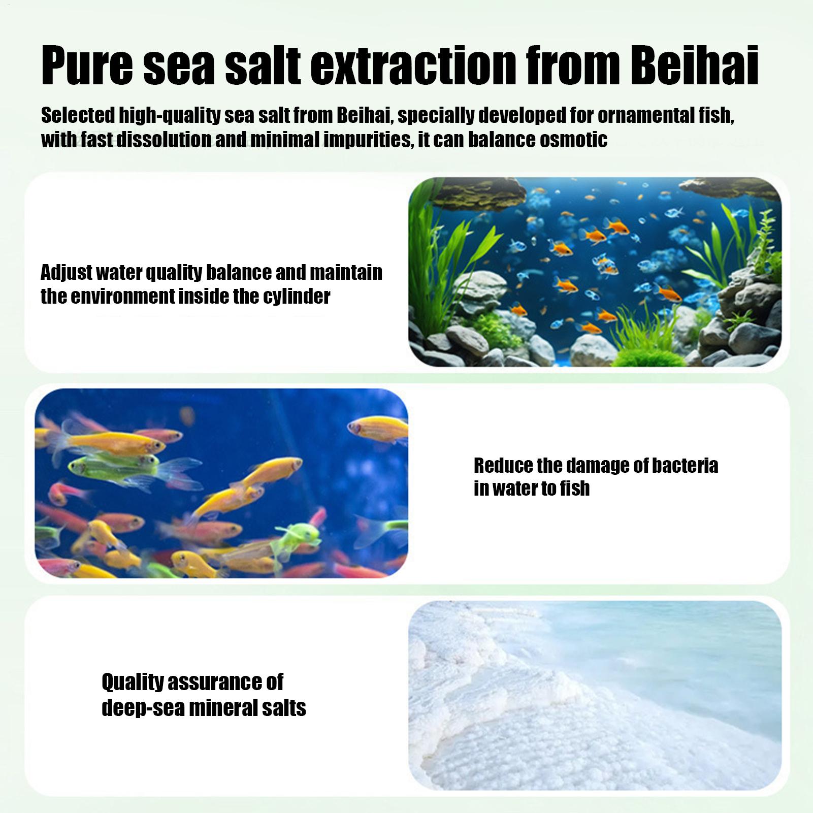 Fish Can Algae Remover Aquariu - огляд і ціна Betta Fish Tank