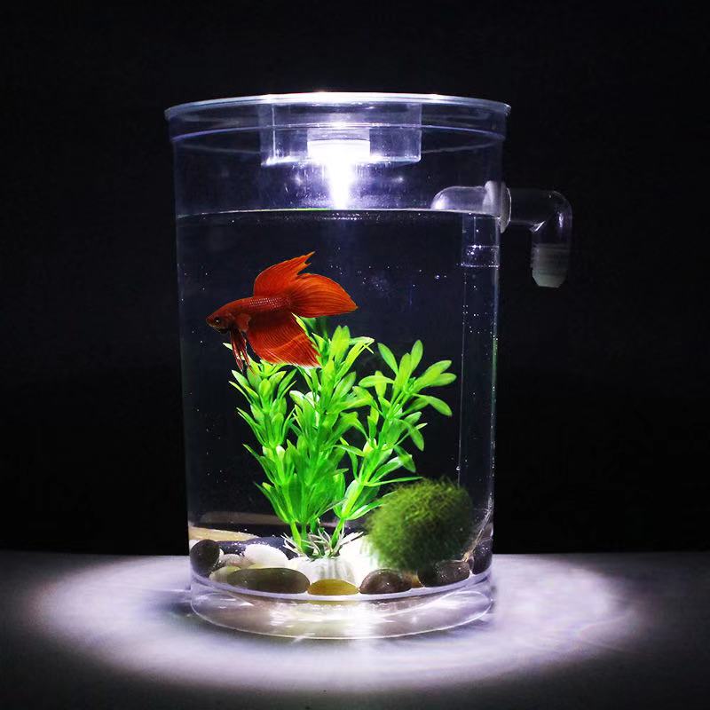 Lazy Free Water Change Desktop - огляд і ціна Betta Fish Tank