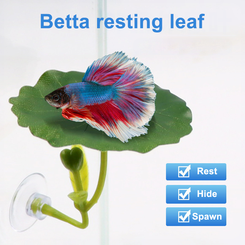 1PC Betta Fish Leaf Hammock Gr - огляд і ціна Betta Fish Tank