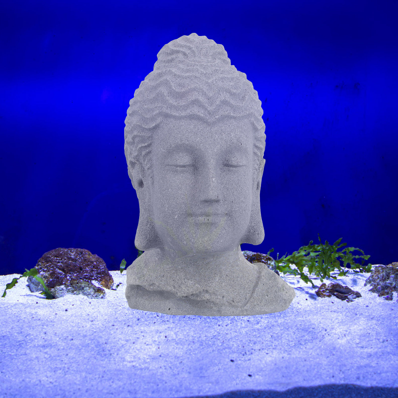 Meditating Buddha Head Statue  - огляд і ціна Aquarium Decor