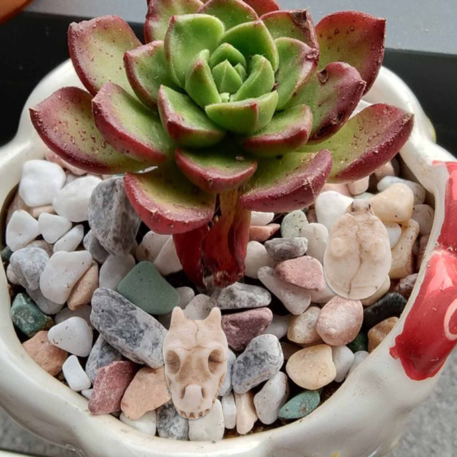 20pcs Mini Dragon Skull Resin  - огляд і ціна Aquarium Decor