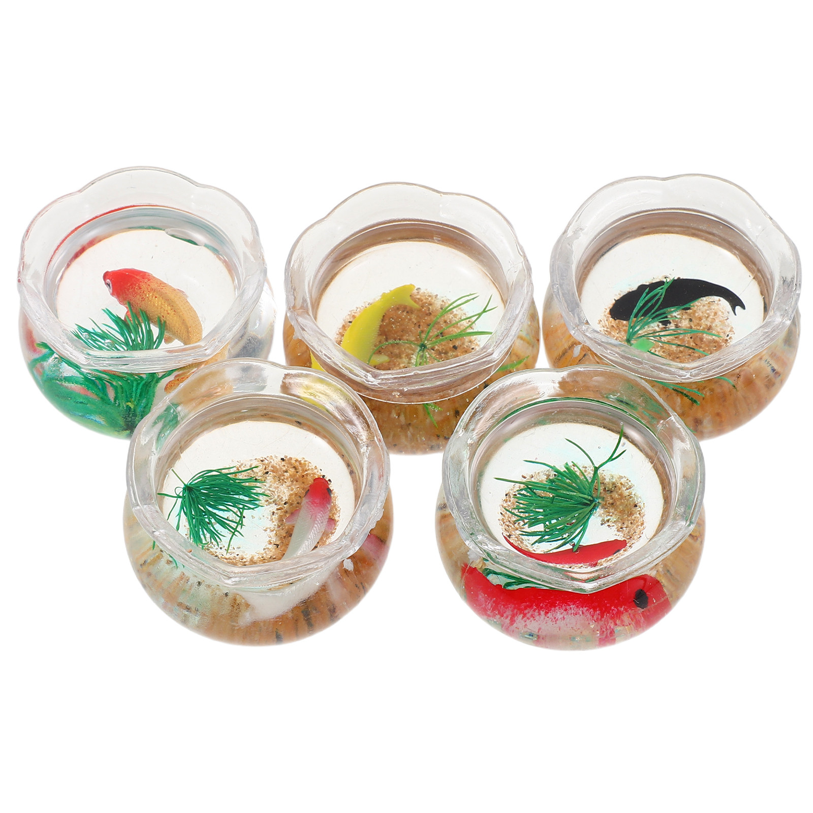 5pcs Mini Koi Fish Tank Set –  - огляд і ціна Aquarium Plants